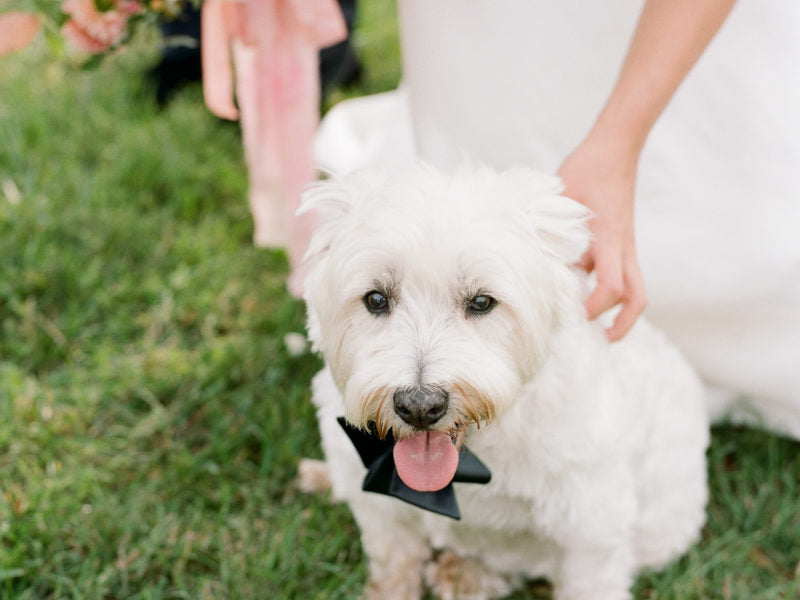 REAL WEDDING: Carly and David