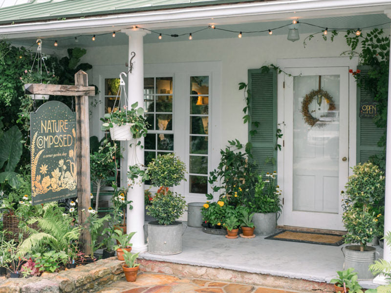 Nature Composed at The Corner Garden