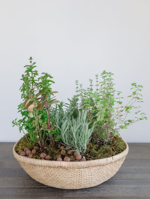 Herb Basket