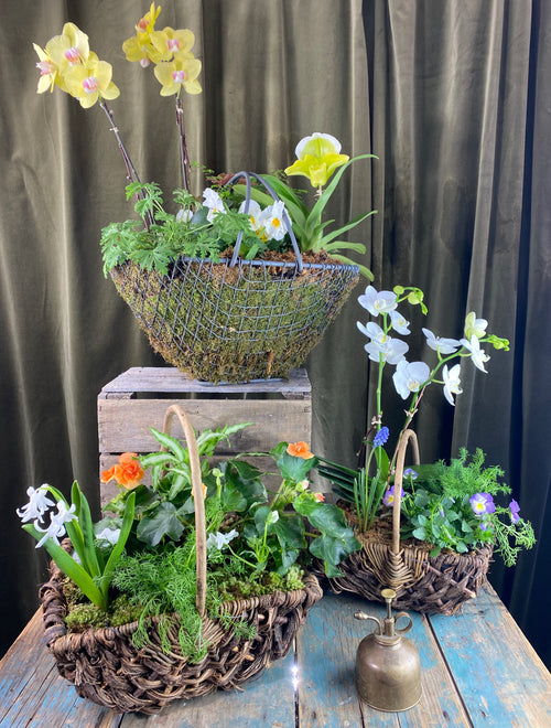 Blooming Baskets