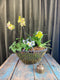 Blooming Baskets