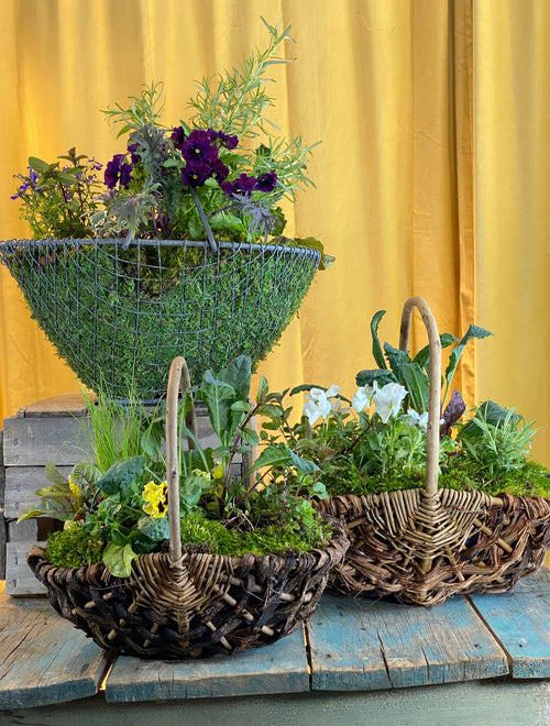 Edible Garden Basket