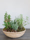 Herb Basket