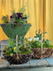 Edible Garden Basket