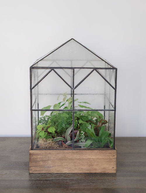 Terrariums