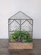Terrariums