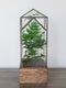 Terrariums