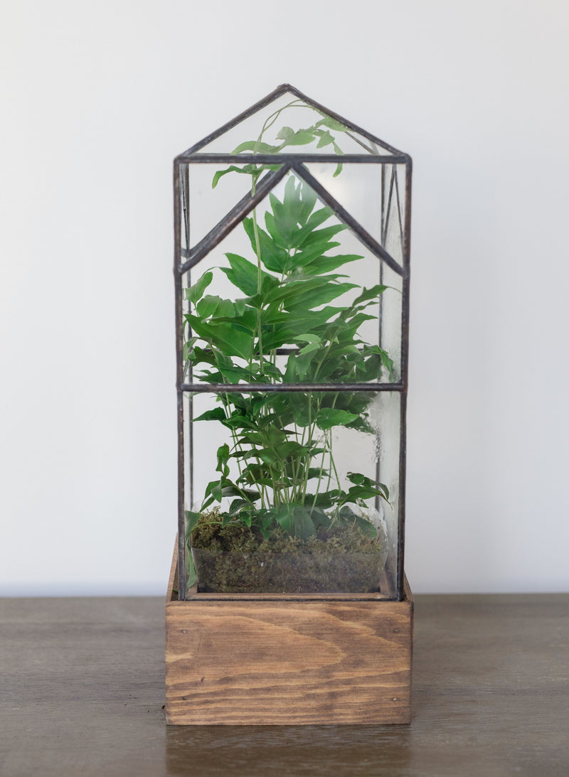 Terrariums – Nature Composed