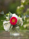 Cocktail Arrangement