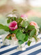 Cocktail Arrangement