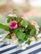 Cocktail Arrangement