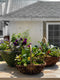 Edible Garden Basket