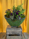 Edible Garden Basket